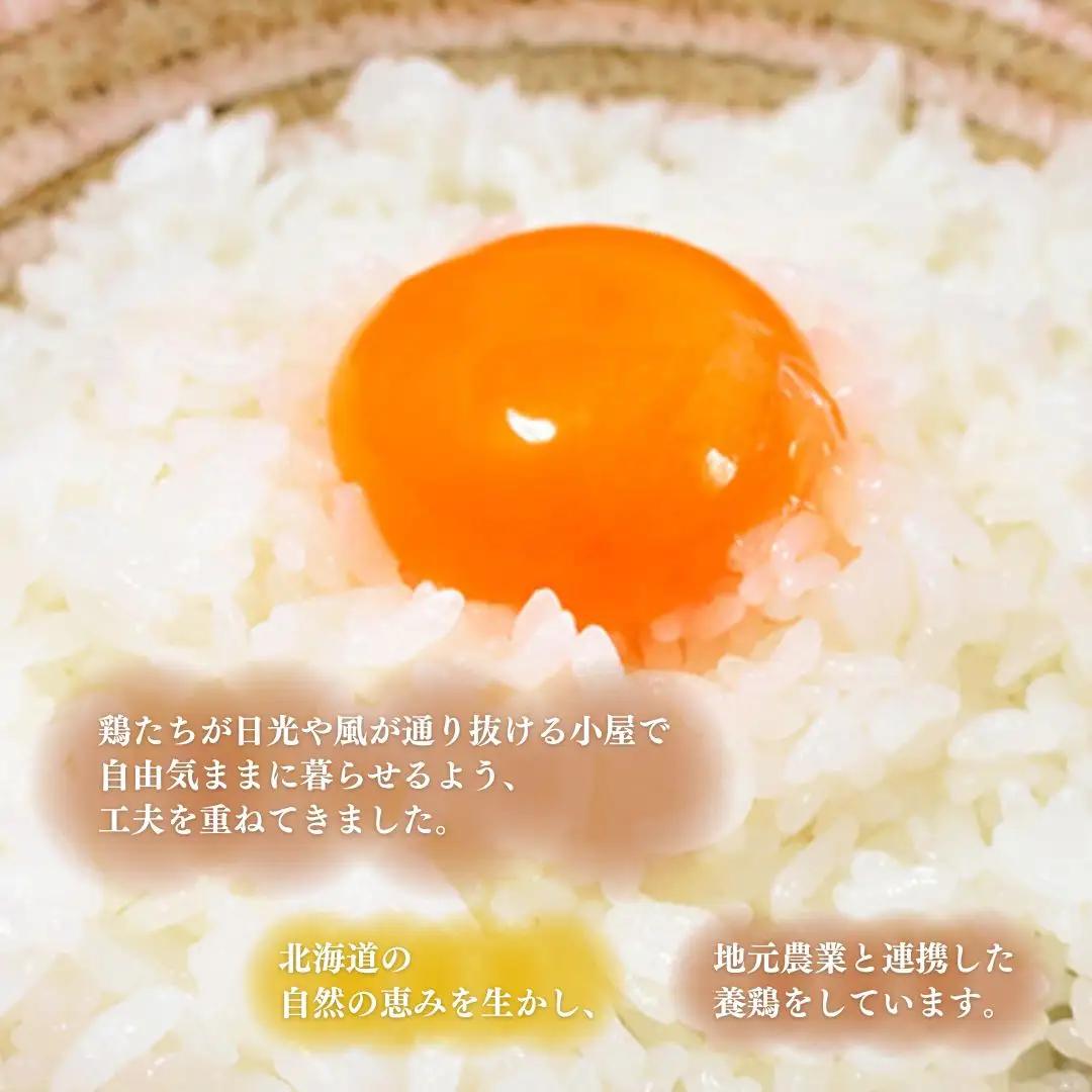 北海道産たまごを食べ比べ「とうきびたまご３種」10個入×8パック 酒井農場