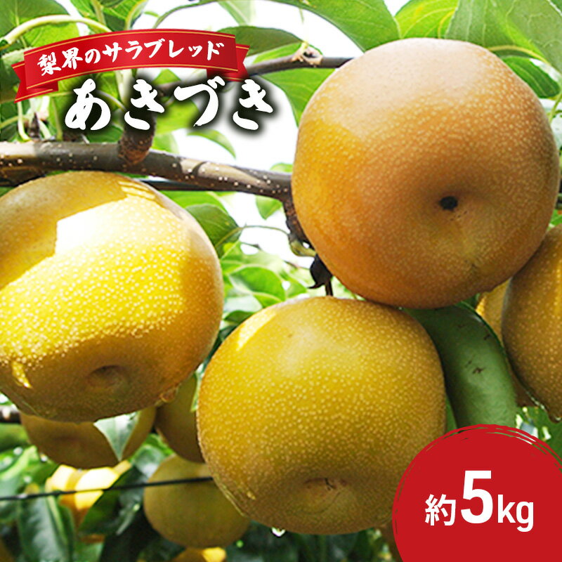 【ふるさと納税】梨界のサラブレッド あきづき（5kg） 果物 フルーツ 　お届け：2025年8月中旬～9月中旬