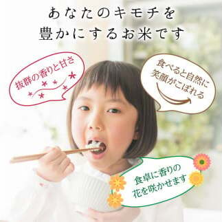 ≪先行予約≫【6回定期】特別栽培米 コシヒカリ ヒロシノキモチ 精米 10kg 総計60kg ブランド米 銘柄米 国産 米 お米 日本米 ギフト 贈り物 備蓄 防災 食品 陽咲玲 はるざれ F6T-8