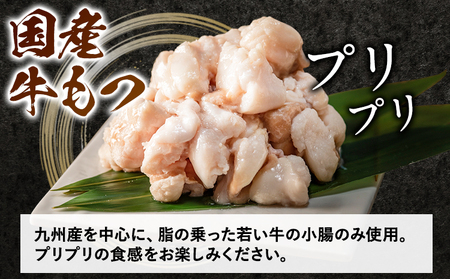 「おおやま」博多もつ鍋 みそ味・しょうゆ味 計4人前《30日以内に順次出荷(土日祝除く)》福岡県 鞍手郡 小竹町 株式会社吉浦コーポレーション もつ鍋 牛もつ