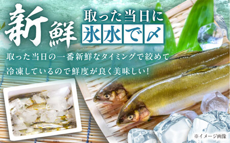 天然あゆの一夜干し 中 3匹セット / あゆ 天然 鮎 / 恵那市 / 恵那物産館[AUFS001]