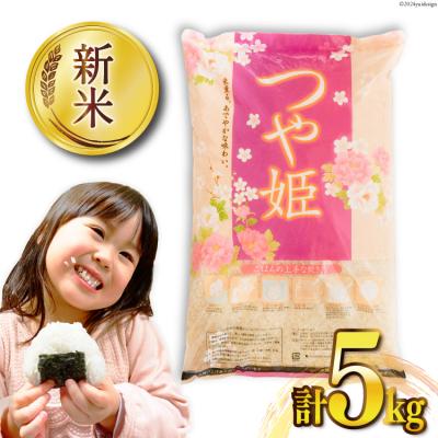 ふるさと納税 気仙沼市 米 令和7年産 宮城県産 つや姫 5kg 20565767 ◎