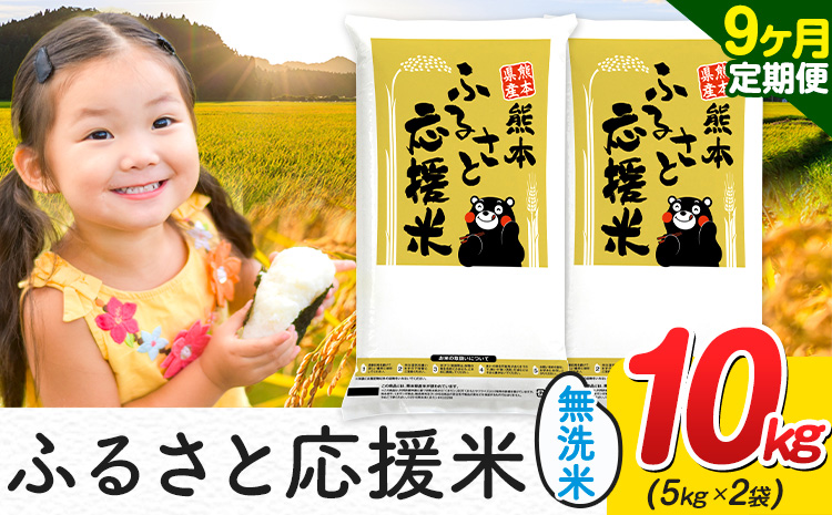 米 無洗米 熊本 ふるさと応援 米 【9ヶ月定期便】 10kg 《お申し込み月の翌月から出荷開始》 熊本県産 白米 精米 山江村 ブレンド米 備蓄 国産 おうちご飯 返礼品 発送 配送 SDGs わけあり むせんまい お米 おこめ 家庭用