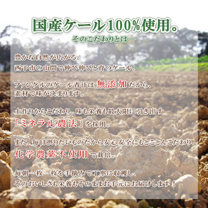 ファンケル　濃縮野菜西予市産ケール100％（冷凍）