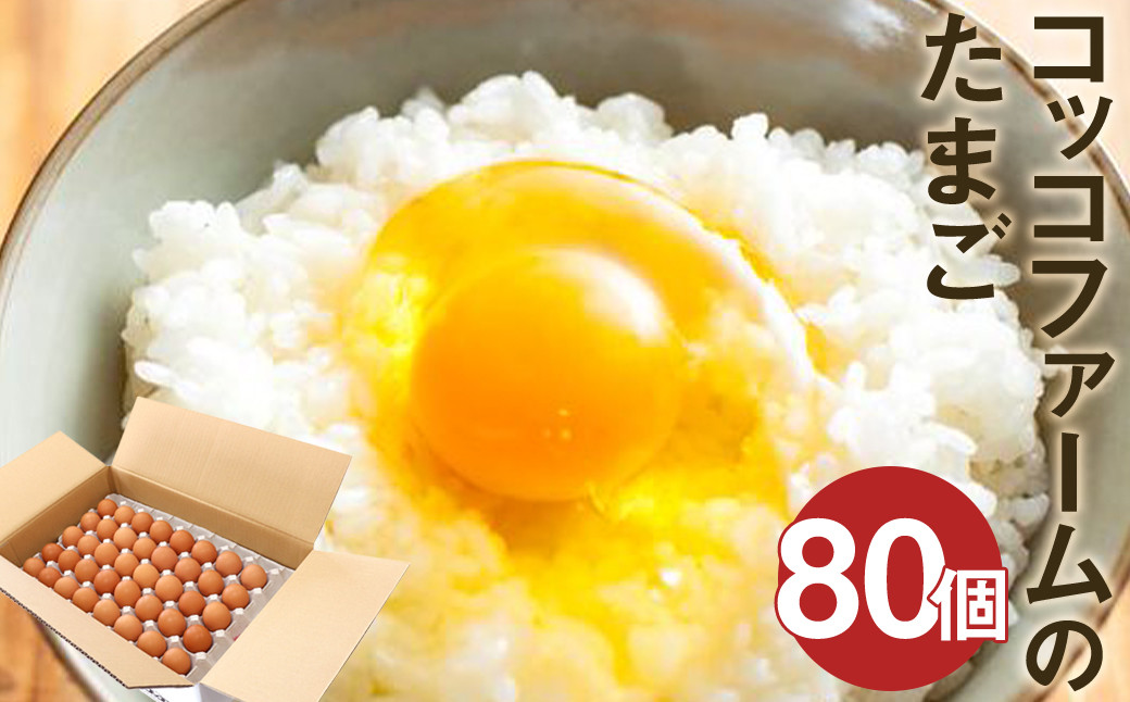 純国産鶏 コッコファーム の たまご 80個入 卵 玉子 鶏卵st-p
