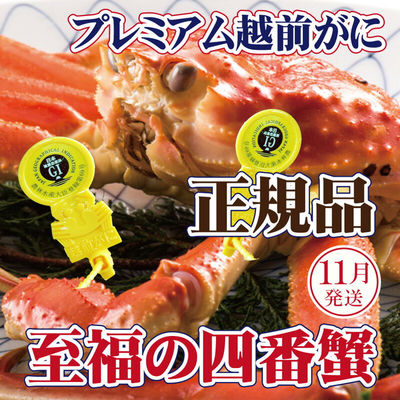 【ふるさと納税】越前がに × 1杯（四番蟹）桐箱入り！至福のプレミアム越前がに【雄 ズワイガニ かに カニ 蟹 姿 生 ボイル 冷蔵 福井県】【11月発送分】希望日指定可 備考欄に希望日をご記入ください [e37-x007_11]