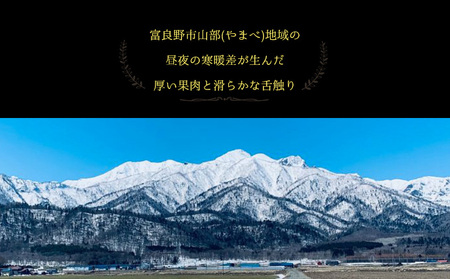 【2024年7月上旬～発送】富良野メロン『NORTH PREMIUM』1玉 約2kg以上 北海道 ふらの (NORTH FUN) メロン フルーツ 果物 新鮮 甘い 贈り物 ギフト 道産 ジューシー 
