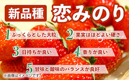 【先行予約】恋みのり 約1kg【くまふる】[ZBG062]