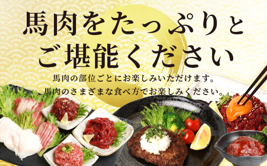 【馬刺し】 馬肉 バラエティー 6種 セット 約1.02kg ＜ 赤身切り落とし / コウネ / ネギトロ / ユッケ / フタエゴ / ハンバーグ / タレ付き ＞ 熊本 国産 031-0491