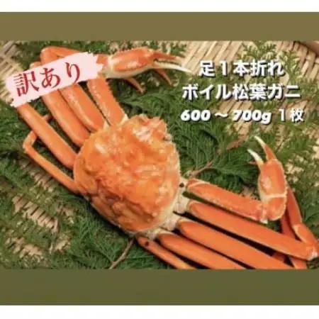 【11月中旬以降順次発送】訳あり足1本折れボイル松葉ガニ(600～700gを1枚)　OM-31【配送不可地域：離島・北海道・沖縄県・東北・信越、北陸】【1745696】