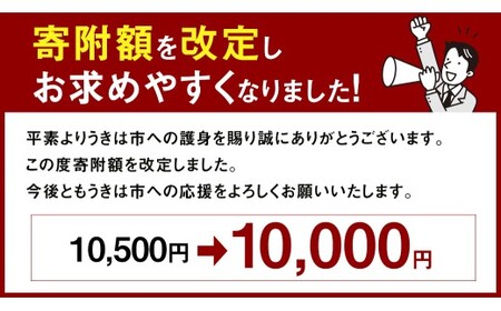 《令和7年産》 福岡県産 夢つくし 精米 （5kg） こめ コメ ごはん ご飯 コシヒカリ キヌヒカリ 白米 令和7年度米 単一原料米 ブランド米 福岡県 うきは市 常温