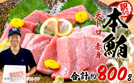 訳あり 本まぐろ 大とろ 赤身 セット 約 800g 【まぐろ】