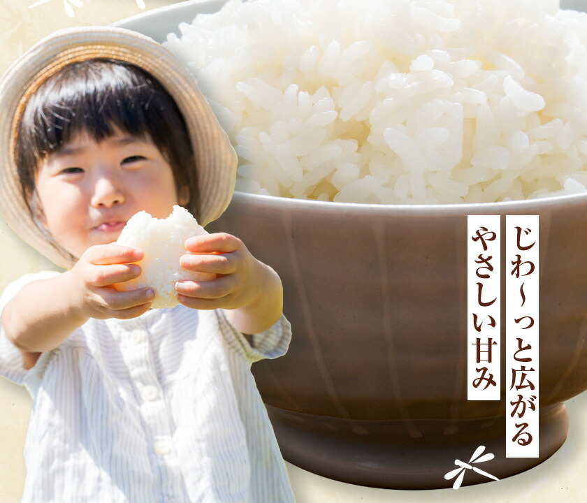 【5ヶ月定期便】令和7年産 七城のこめ 精米 5kg×2袋/月×5回 計50kg ヒノヒカリ ひのひかり 有限会社七城町特産品センター 《お申し込み月の翌月から出荷開始》 熊本県 菊池市 定期便 お米