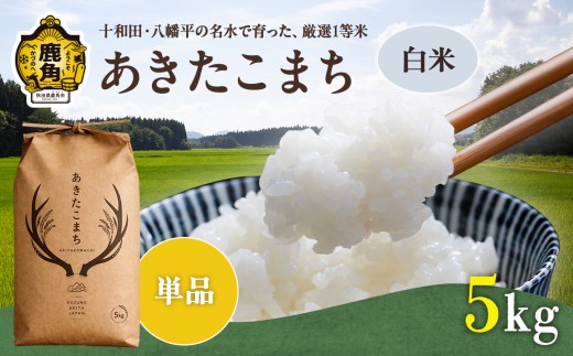 《 先行予約 》令和8年産 あきたこまち 精米 5kg 単品【トライズ】●2026年10月下旬発送開始 米 精米 白米 単一原料米 国産米 ブランド米 白米 もっちり 県産米 お米 こめ コメ 秋田県 あきた 鹿角市 鹿角 送料無料