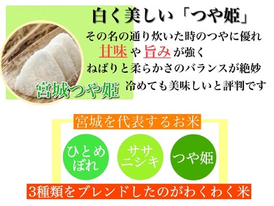 【ふるさと納税】宮城県産三大銘柄いいとこ取りブレンド米 わくわく米 5kg×1袋入 計5kg ◆｜ お米 精米 白米 ひとめぼれ ササニシキ つや姫 宮城県産 三大銘柄【araseki001】