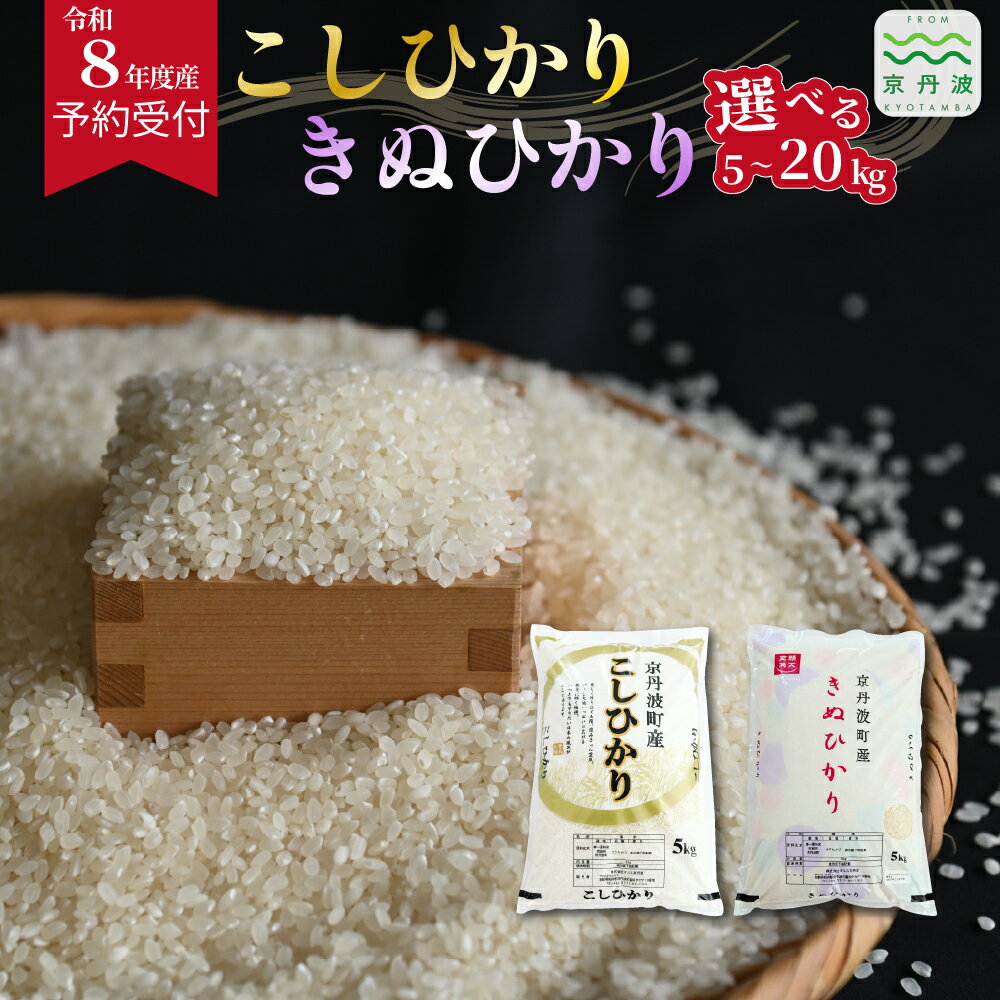 【ふるさと納税】 《 先行予約 》2026年秋発送 こしひかり きぬひかり 京丹波町産 選べる 内容量 5kg 10kg 15kg 20kg 令和8年産米 精米 お米 京都 丹波 コシヒカリ キヌヒカリ 特A獲得 産地直送 ※北海道・沖縄・その他離島は配送不可