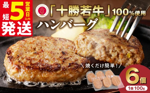 【最短5営業日以内に発送】十勝若牛100％使用！十勝 若牛 ハンバーグ 100g × 6個 国産 小分け 簡単調理 惣菜 おかず ハンバーグ お弁当 焼くだけ 牛肉 牛 肉 十勝若牛 冷凍_S003-0001