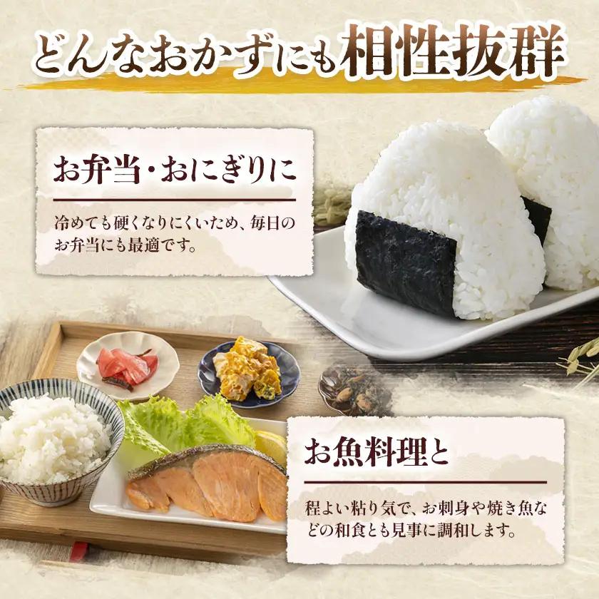 【3ヶ月定期便】米 白米 神代米 粒すけ ぜん兵衛。