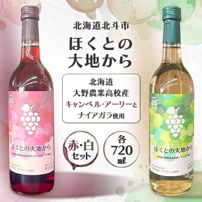 ふるさと納税 北斗市 ほくとの大地から　キャンベル・アーリー赤とナイアガラ白のセット　各720ml