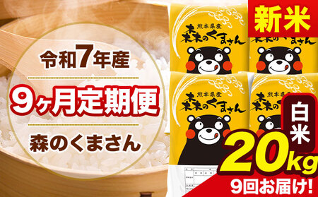 【9ヶ月定期便】新米 令和7年産 白米 定期便 森のくまさん 20kg 森くま 《お申込み翌月から出荷》熊本県産 単一原料米 森くま 熊本県 玉東町