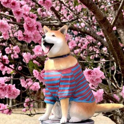 ふるさと納税 郡山市 東日本大震災からの動物愛護活動 犬と猫と人と共生を願う絆のアイノカタチ　ワンコモニュメント |  | 03