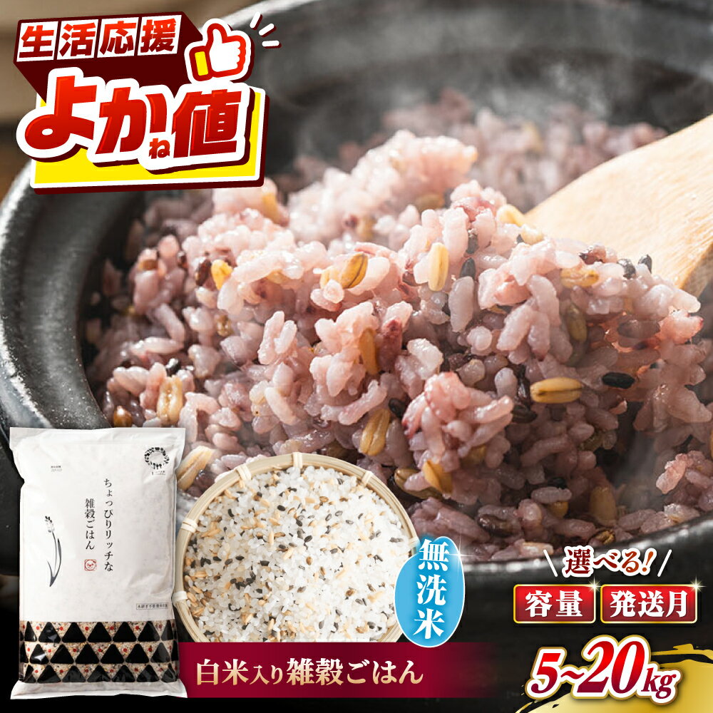 【ふるさと納税】〈令和7年度産米〉 容量・配送月 も選べる！水研ぎ不要 雑穀ごはん 無洗米 5kg 10kg 20kg 【株式会社 農産ベストパートナー】[ZBP145] 雑穀米 雑穀 米 無洗 ひのひかり 人気 送料無料 令和7年