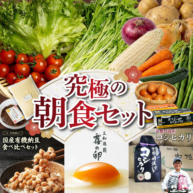 【ふるさと納税】野菜 米 定期便 旬野菜 コシヒカリ 2kg など お楽しみ 詰め合わせセット 1回 6回(2ヵ月に1回) 京都丹波 ・ 亀岡産 みなと屋 産地直送 6ヶ月 隔月6回 定番 和食 朝食 ふるさと納税米 卵 (6個+4個割れ保障) 納豆 野菜 セット 定期便 京野菜 自家農園 亀岡市