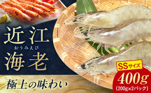近江海老 SSサイズ 400g 滋賀県長浜市/ワボウ電子株式会社 [AQBA004] エビ 海老 えび 海鮮 魚介類 魚貝類 魚介 下処理不要 冷凍 業務用 小分け 国産 刺身 刺し身  近江海老 新鮮 ぷりぷり 甘い 刺身 天ぷら 海鮮丼 鍋料理 海老しゃぶ 魚介 贈答用 人気 料理素材 お取り寄せ 丸ごと