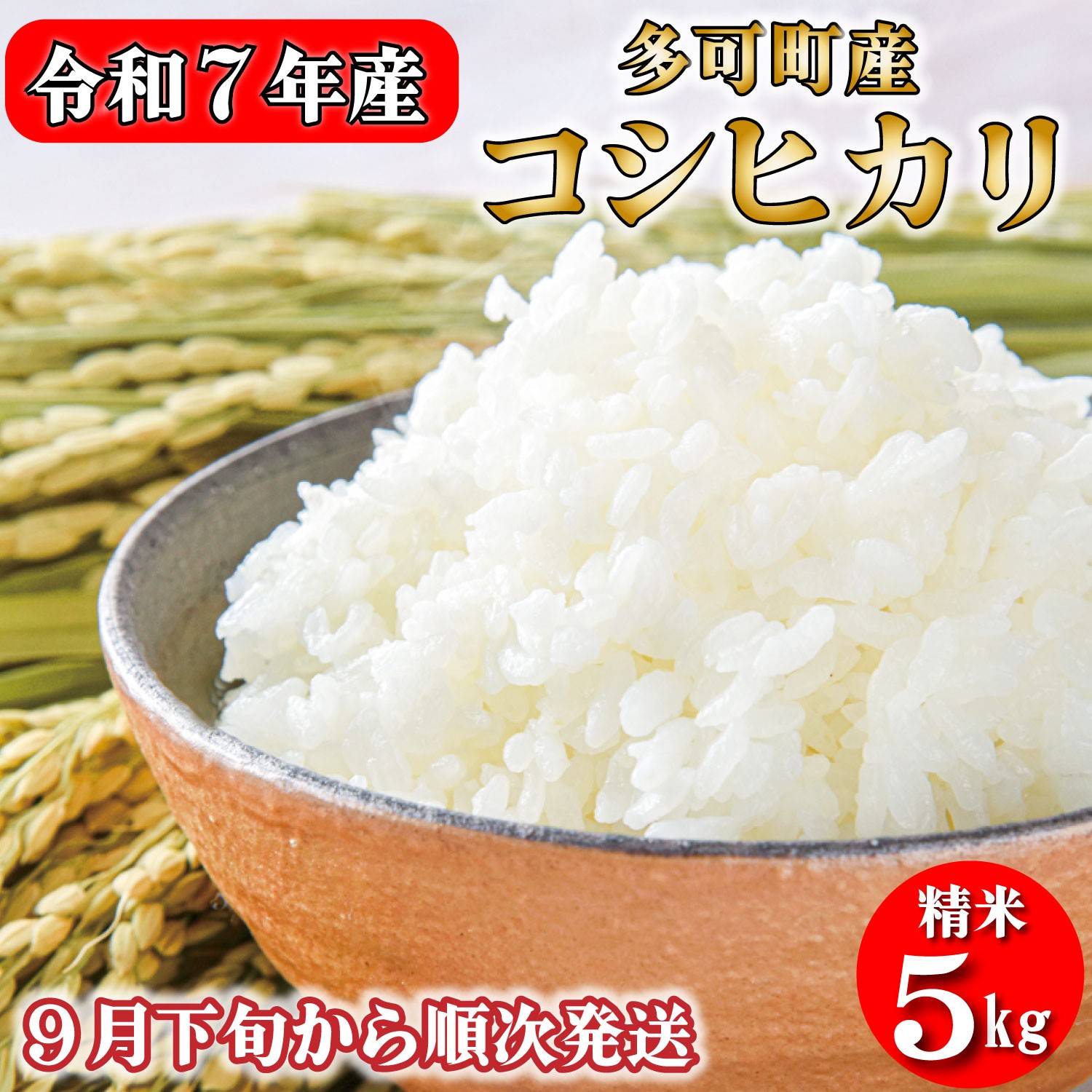 
            【先行受付】数量限定！令和７年産 お米 5kg コシヒカリ 精米 兵庫県多可町産 [1198]
          