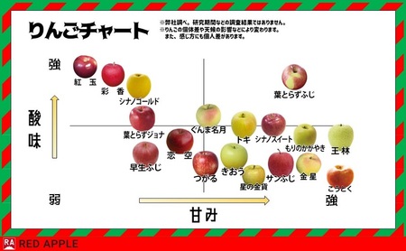 りんご 【 11月発送 】 家庭用 シナノスイート 約 10kg 【 弘前市産 青森りんご 】