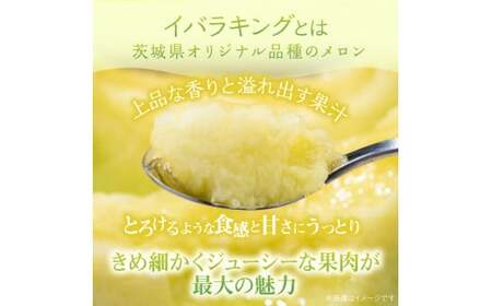 【イバラキングメロン】＼生産量日本一！／茨城県鉾田市産 イバラキング メロン めろん 1.2kg以上×2玉｜方波見農園 《安心安全栽培》上品な甘さ 絶品 産地直送 青肉 高級 おすすめ 人気 BMW農