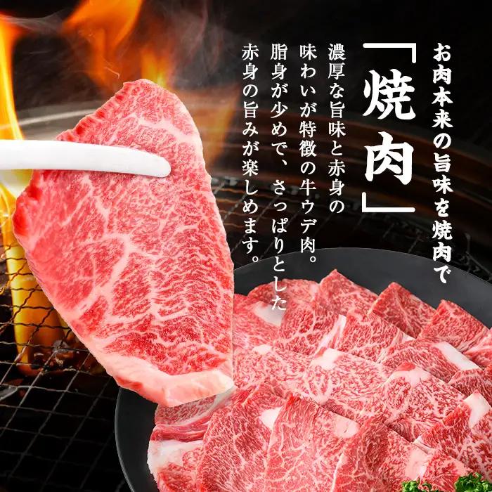 鹿児島県産黒毛和牛赤身ウデ焼肉 (計1kg・200g×5P) 黒毛和牛 国産 肉 牛肉 赤身 ウデ肉 鹿児島 小分け 焼き肉 炒め物 冷凍 a5-379