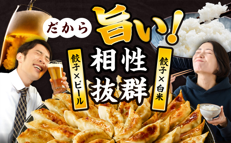 【簡易包装】屋台骨 宮崎餃子(60個×2袋)_M061-004-02