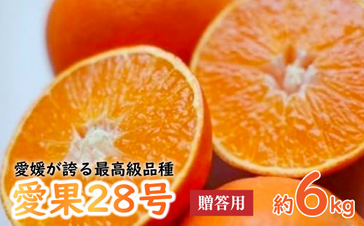 【2026年12月上旬から順次発送】最高級品種【愛果28号】贈答用-化粧箱-　6kg(20-30個前後）あいか 贈答用 みかん 数量限定 みかん 愛媛県産 みかん 愛果28号 松山市 みかん 愛果28号 みかん 蜜柑 愛果28号 ミカン みかん 旬 愛果28号 愛媛県 松山市