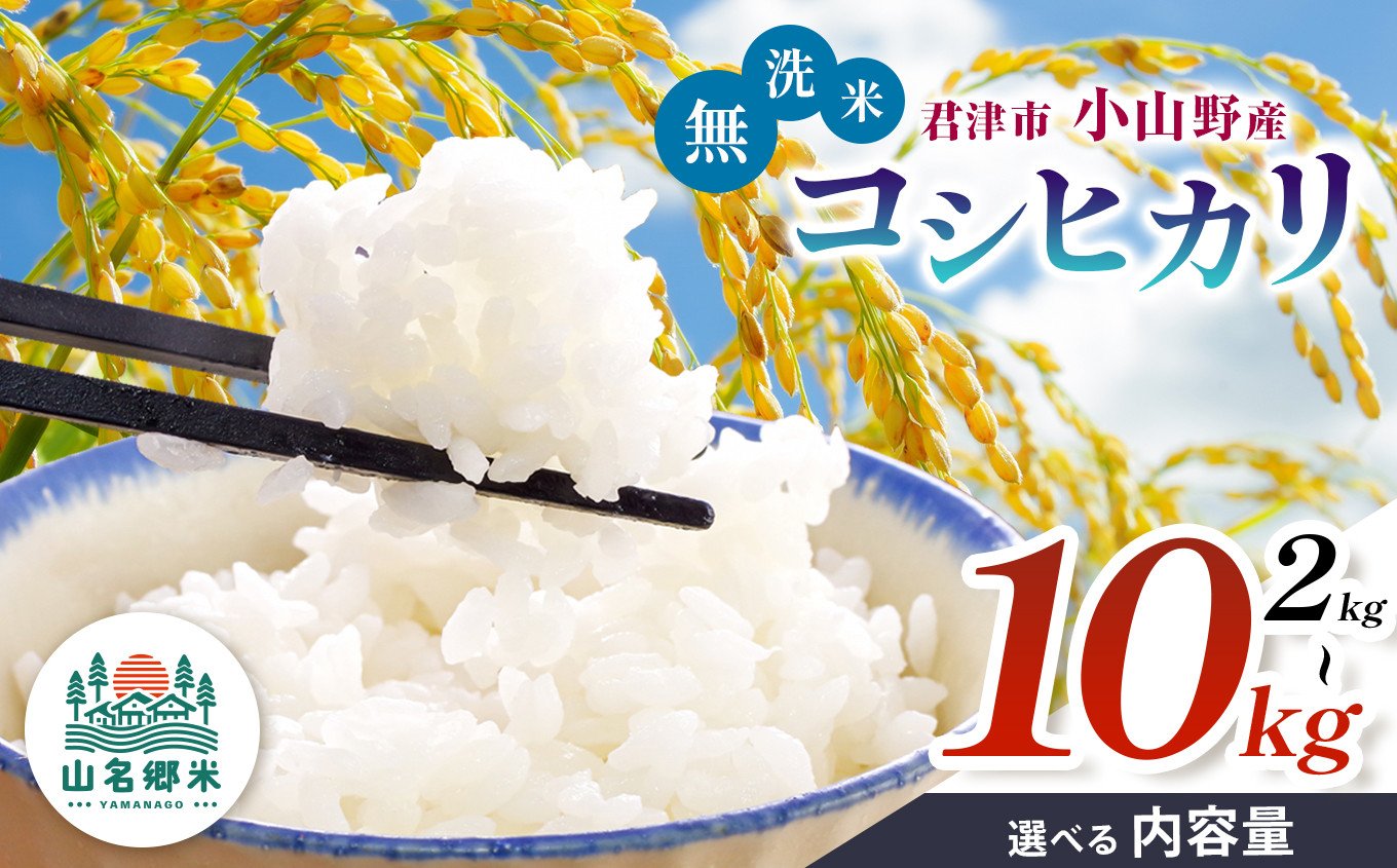 
            【  先行予約  】＼ 8月下旬から順次発送 ／ 無洗米 令和7年産 君津市小山野産 コシヒカリ 新米 選べる容量 2kg 3kg 5kg 10kg | メディアで紹介 ！ あかかげ農園 山名郷米 やまなごう まい 千葉稲作 しんまい シンマイ こしひかり 千葉県産 むせんまい 米 コメ こめ お米 千葉県 君津市 きみつ
          