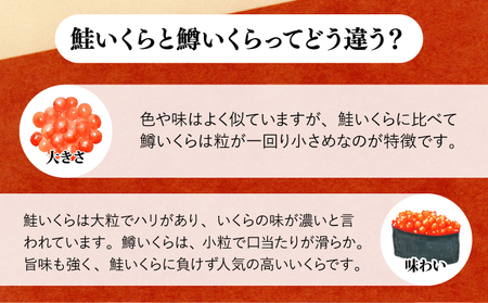 絶品!いくら醤油漬け 500g B-930