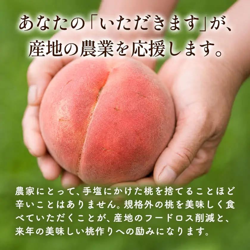 もったいない桃 約2kg【配送不可地域あり】