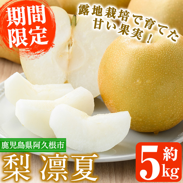 ＜先行予約受付中！2026年7月下旬以降順次発送予定＞数量限定！鹿児島県産梨＜品種：凛夏＞(約5kg・10～20個前後)国産 果物 くだもの フルーツ 旬 果実 ナシ なし デザート 露地栽培 りんか 凛夏 期間限定【三笠農業生産】akn051-08