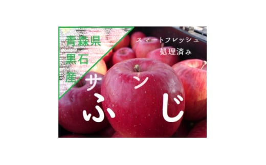 サンふじ　3K箱(約3kg)＜美味しさ長持ち!スマートフレッシュ処理＞【1600769】