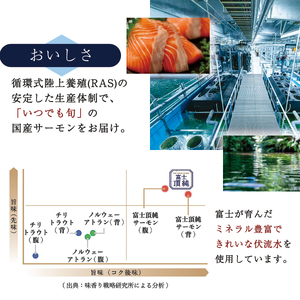 サーモン 富士頂純サーモン フィーレ 半身 骨なし 約600～800g 富士山麓のきれいな天然水で養殖された安心安全な サーモン 【完全無投薬 ワクチンフリー】 / サーモン 鮭 フィレ 骨なし 皮な