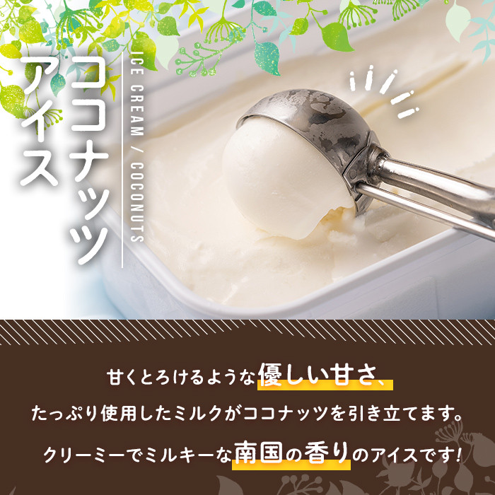 フルーツソムリエが作った濃厚優しいココナッツアイス(1L) アイス アイスクリーム ココナツ 手作り スイーツ ＜離島配送不可＞【ksg0055】【南国フルーツ】