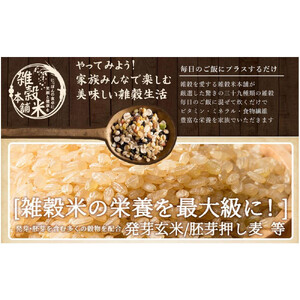 明日への輝き39 穀米ブレンド 24kg(400g×60袋)