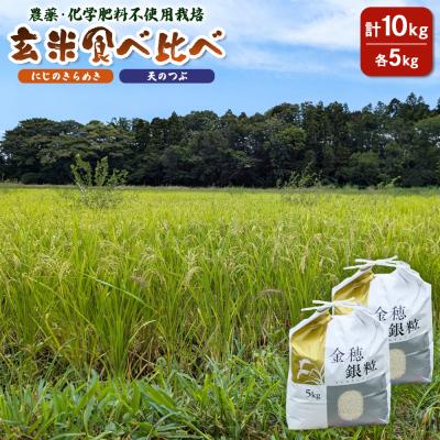 ふるさと納税 南相馬市 玄米2品種食べ比べ10kg「にじのきらめき」「天のつぶ」各5kg【70017】