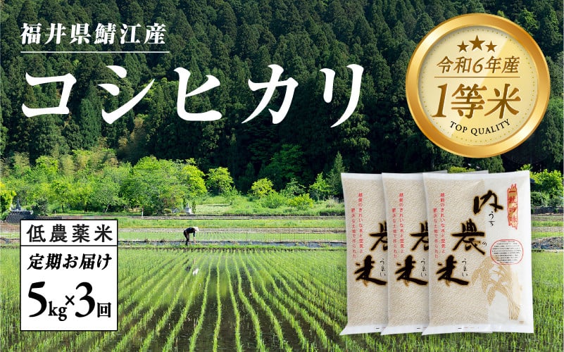 
            【3ヶ月連続お届け】新米！令和6年産 内農米コシヒカリ定期便 5kg × 3回 計15kg [D-00503] / こしひかり 定期便 3ヶ月 減農薬 有機栽培 白米 新米 白米 精米 ご飯 コメ ごはん ライス 産地直送 鯖江市
          