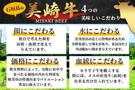 美崎牛ハンバーグ200g×6個 【 お肉 美崎牛 ハンバーグ 牛肉 肉 】O-5