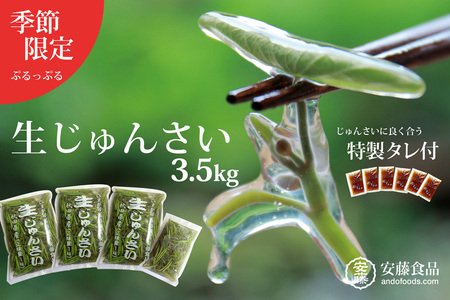 生じゅんさい3.5kg ゆずタレ6個 《冷蔵》（2026年5月上旬頃～7月下旬までに発送予定） 令和8年産 2026年産 先行受付  秋田県産 三種町産