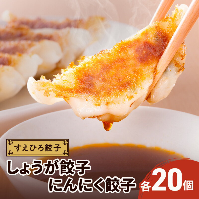 【ふるさと納税】しょうが餃子 にんにく餃子 各20個 計40個 タレ 唐辛子付き ギョーザ 冷凍餃子 具沢山 国産 ビールのお供 つまみ すえひろ餃子 静岡県浜松市