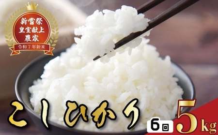 【令和7年産】 新米 定期便 5kg×6回 コシヒカリ 新米 AS019