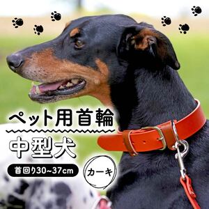 【本革首輪】　中型犬用　マイスタープラス　レザーカラー　＃２１　カーキ【 ペット 大阪府 松原市 】