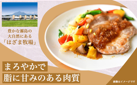 「きなこ豚」焼肉900gセット_AA-1201_(都城市) 宮崎県産豚肉 きなこ豚 豚バラ焼肉用 (300g) 豚肩ロース焼肉用 (300g) ロース生姜焼き用 (300g) BBQセット バーベキュ